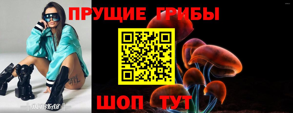 Галлюциногенные грибы Cubensis Благодарный